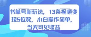 书单号新玩法,13条视频变现5位数,小白操作简单,当天可见收益-网赚资源网