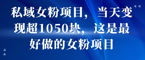 私域女粉项目，当天变现超1k，这是最好做的女粉项目，可放大操作-网赚资源网