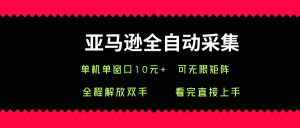 亚马逊全自动采集，单机单窗口一天10+，可无限矩阵去做【揭秘】 - 网赚资源网-网赚资源网