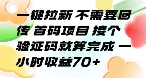 一键拉新 不需要回传 首码项目 接个验证码就算完成 一小时收益70+【揭秘】 - 网赚资源网-网赚资源网