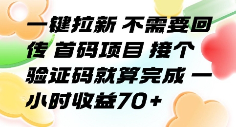 一键拉新 不需要回传 首码项目 接个验证码就算完成 一小时收益70+【揭秘】-网赚资源网