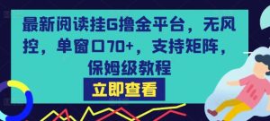 最新阅读挂G撸金平台，无风控，单窗口70+，支持矩阵，保姆级教程【揭秘】-网赚资源网