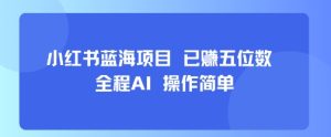 小红书蓝海项目，全程AI，操作简单，已挣五位数 - 网赚资源网-网赚资源网