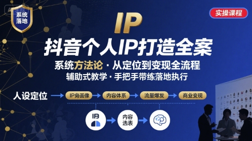 抖音个人IP系统落地实操大课，实操课程，辅助落地-网赚资源网