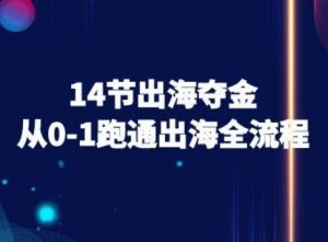 14节出海夺金从0-1跑通出海全流程-跨境电商教程 - 网赚资源网-网赚资源网