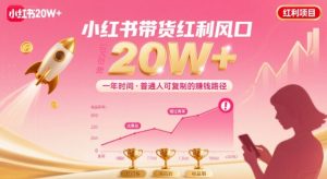 一年时间靠小红书带货项目年入20w+，最不能错的大红利项目 - 网赚资源网-网赚资源网