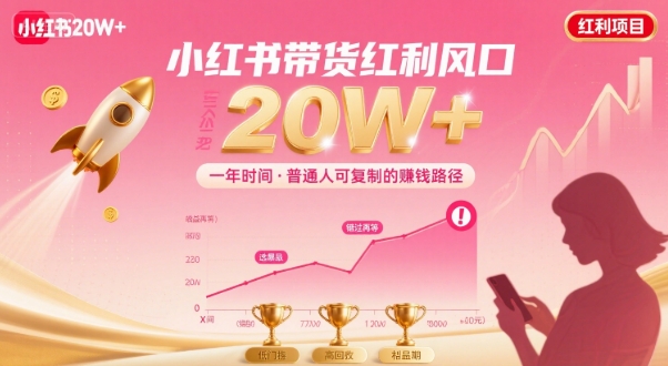 一年时间靠小红书带货项目年入20w+，最不能错的大红利项目-网赚资源网