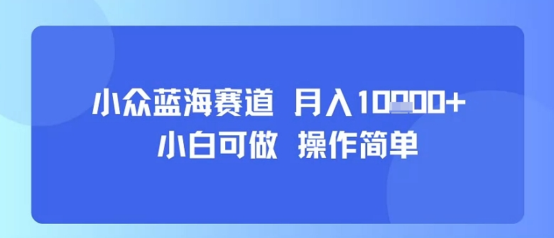 小众蓝海赛道，小白可做，操作简单，每天30分钟，月入1W+-网赚资源网