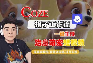 COZE扣子工作流一键生成治愈萌究短视频，保姆级教程-智能体搭建-项目实操-网赚资源网