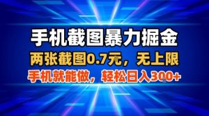 手机截图暴力掘金，两张截图0.7米，一部手机就能做，轻松日入3张+【揭秘】 - 网赚资源网-网赚资源网