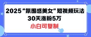 不露脸也能火！2025“氛围感美女”短视频玩法，30天涨粉5W小白可复制 - 网赚资源网-网赚资源网