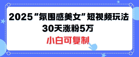 不露脸也能火！2025“氛围感美女”短视频玩法，30天涨粉5W小白可复制-网赚资源网