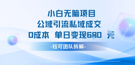 小白无脑项目公域引流私域成交0成本单日变现680米-网赚资源网