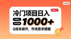在小红书上发现个冷门路子,需求不小,零成本操作,每天能有1k进账-网赚资源网