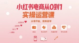 小红书电商从0到1实操运营课，从零开始，简单易学 - 网赚资源网-网赚资源网