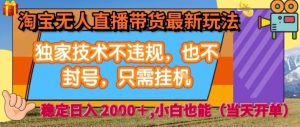 淘宝无人直播带货最新玩法，独家技术不违规，也不封号，全自动运行，只需挂着，  稳定日入2k【揭秘】 - 网赚资源网-网赚资源网