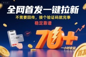 全网首发一键拉新项目，不需要回传，接个验证码就完事，稳定靠谱，一小时收益70+【揭秘】 - 网赚资源网-网赚资源网
