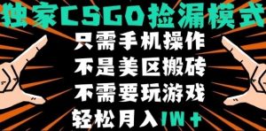 CSGO自动捡漏项目,最新独家玩法,不是美区搬砖,不需要了解和玩游戏,新手小白轻松月入1W+【揭秘】-网赚资源网