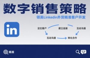 数字销售策略领英LinkedIn外贸精准客户开发 - 网赚资源网-网赚资源网