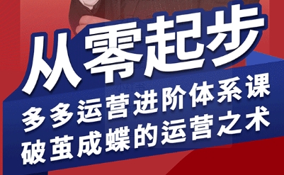 拼多多运营进阶系统课，从零起步，多多运营进阶体系课，破茧成蝶的运营之术-网赚资源网