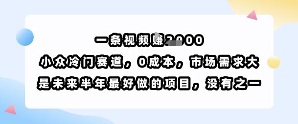 一条视频挣1k，小众冷门赛道，0成本，市场需求大，是未来半年最好做的项目，没有之一-网赚资源网