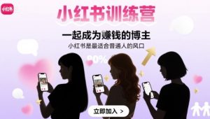 小红书训练营一起成为賺钱的博主，小红书是最适合普通人的风口 - 网赚资源网-网赚资源网