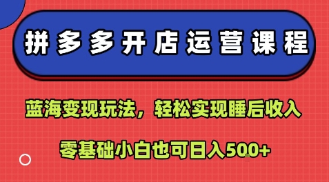 拼多多开店运营课程：蓝海变现玩法，轻松实现睡后收入，零基础小白也可日入5张-网赚资源网