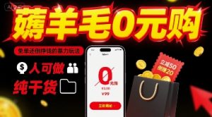 薅羊毛0元购,免单还倒挣钱的暴力玩法,人人可做,纯干货-网赚资源网
