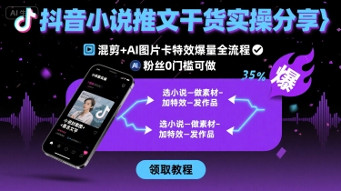 抖音小说推文干货实操分享，混剪+AI图片卡特效爆量全流程，0粉丝0门槛可做-网赚资源网
