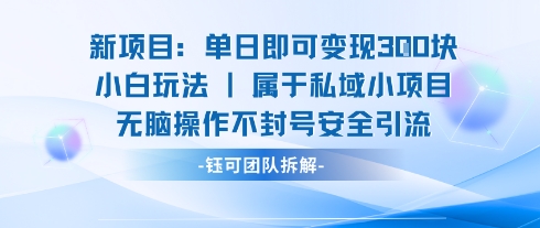 新项目单日即可变现3张的小白玩法无脑操作不封号安全引流-网赚资源网