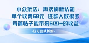 小众玩法再次刷新认知单个收费68米进群人数很多每篇帖子能带来6张的收益 - 网赚资源网-网赚资源网