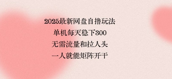 2025最新网盘自撸玩法，单机每天稳下3张，无需流量和拉人头，一个人就可轻松矩阵，全网独一份【揭秘】-网赚资源网
