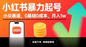 小红书暴力起号，小众赛道，0基础0成本，月入1w - 网赚资源网-网赚资源网