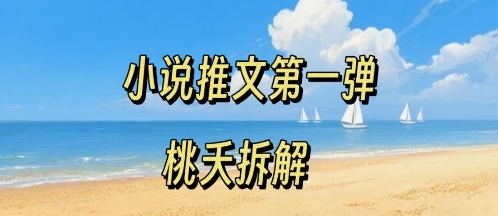 小说推文项目操作全流程第一弹，0粉就能做，门槛低非常适合新手-网赚资源网