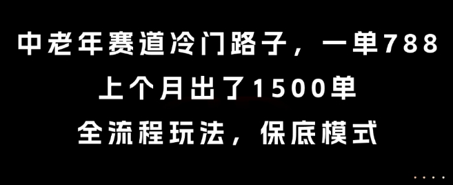 中老年赛道冷门路子，一单788，上个月出了1500单，全流程玩法，保底模式【揭秘】-网赚资源网