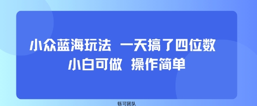 小众蓝海玩法 一天搞了四位数 小白可做 操作简单-网赚资源网