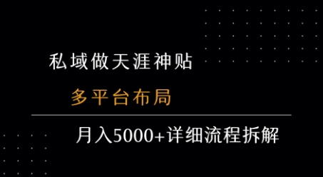 私域做天涯神贴 多平台布局 月入5k+详细流程拆解-网赚资源网
