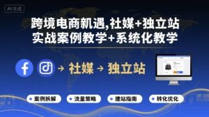 跨境电商新机遇，社媒+独立站，实战案例教学+系统化教学-网赚资源网