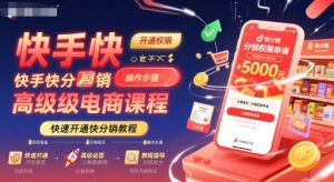 快手快分销高级电商课程，快速开通快分销教程 - 网赚资源网-网赚资源网