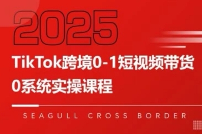 TikTok跨境0-1短视频带货，系统拆解TikTok跨境带货全链路，实现跨境可持续盈利-网赚资源网