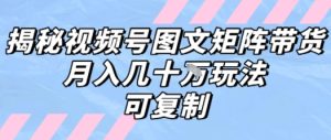 解密视频号图文矩阵带货,月入几个W的打法,可复制-网赚资源网