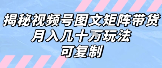 解密视频号图文矩阵带货，月入几个W的打法，可复制-网赚资源网