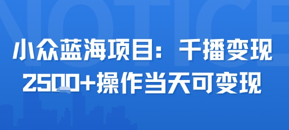 小众蓝海项目，千播变现2.5k+操作当天可变现-网赚资源网