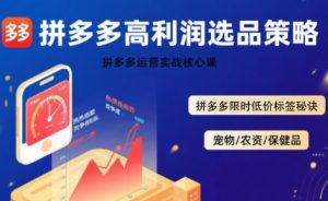 拼多多选品暴利技术实战课,拼多多高利润选品策略,拼多多限时低价标签秘诀-网赚资源网