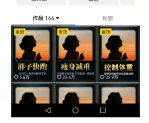 超高变现的短视频减肥细分赛道，减肥账号抖音实战训练营 - 网赚资源网-网赚资源网