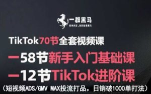 TikTok全套视频课，新手入门+进阶课，短视频ADS-GMV MAX投流打品，日销破1000单打法 - 网赚资源网-网赚资源网