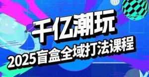 2025盲盒全域全套打法课，盲盒起号、选品、话术、私域等 - 网赚资源网-网赚资源网