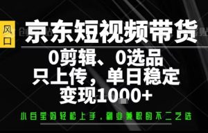 你出账号，我来运营，保底日入1k+，开启躺賺模式【揭秘】 - 网赚资源网-网赚资源网
