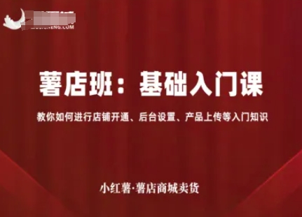 小红薯薯店商城卖货，基础入门课，教你如何进行店铺开通、后台设置、产品上传等入门知识-网赚资源网
