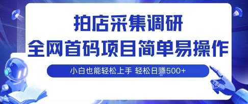 拍店采集调研，全网首码项目，简单易操作， 小白也能轻松上手，多账号操作，轻松日入5张【揭秘】-网赚资源网